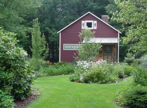 View of the Shop